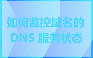 如何监控域名的 DNS 服务状态