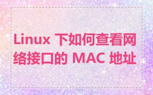 Linux 下如何查看网络接口的 MAC 地址