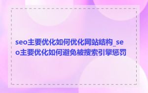 seo主要优化如何优化网站结构_seo主要优化如何避免被搜索引擎惩罚