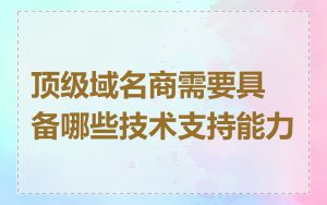 顶级域名商需要具备哪些技术支持能力