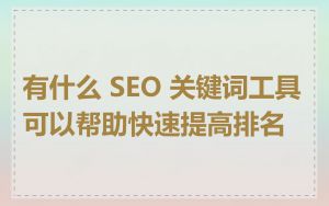 有什么 SEO 关键词工具可以帮助快速提高排名