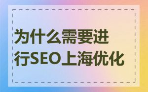 为什么需要进行SEO上海优化