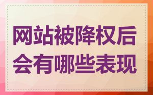 网站被降权后会有哪些表现