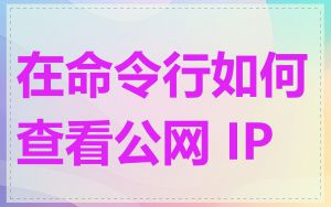 在命令行如何查看公网 IP