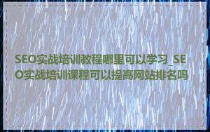 SEO实战培训教程哪里可以学习_SEO实战培训课程可以提高网站排名吗