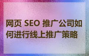 网页 SEO 推广公司如何进行线上推广策略