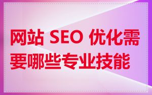 网站 SEO 优化需要哪些专业技能