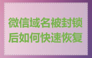 微信域名被封锁后如何快速恢复