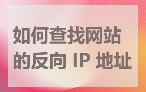 如何查找网站的反向 IP 地址