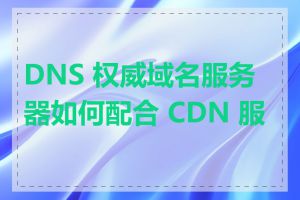 DNS 权威域名服务器如何配合 CDN 服务