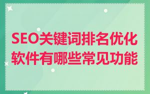 SEO关键词排名优化软件有哪些常见功能