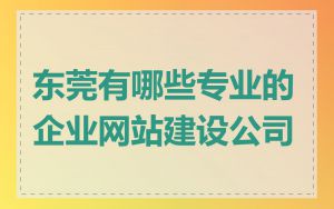 东莞有哪些专业的企业网站建设公司