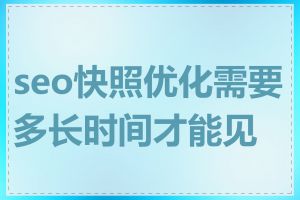 seo快照优化需要多长时间才能见效