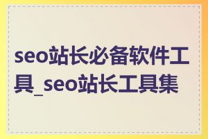 seo站长必备软件工具_seo站长工具集合