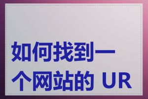 如何找到一个网站的 URL