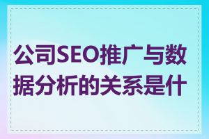 公司SEO推广与数据分析的关系是什么