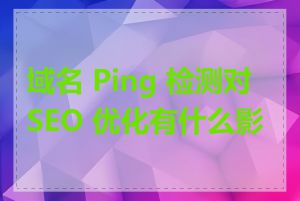 域名 Ping 检测对 SEO 优化有什么影响