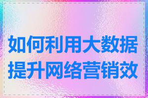 如何利用大数据提升网络营销效果