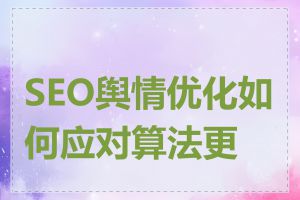 SEO舆情优化如何应对算法更新