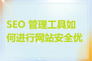 SEO 管理工具如何进行网站安全优化