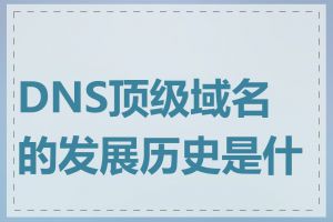 DNS顶级域名的发展历史是什么