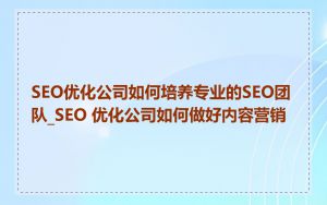 SEO优化公司如何培养专业的SEO团队_SEO 优化公司如何做好内容营销