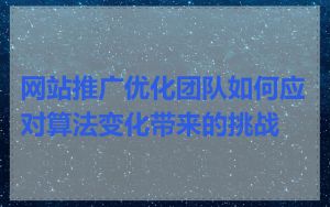 网站推广优化团队如何应对算法变化带来的挑战