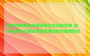 如何判断网站关键词排名优化的效果_如何利用社交媒体来提高网站的关键词排名