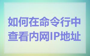 如何在命令行中查看内网IP地址