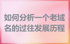 如何分析一个老域名的过往发展历程