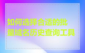 如何选择合适的批量域名历史查询工具