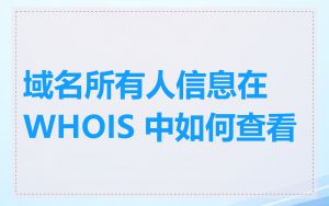 域名所有人信息在 WHOIS 中如何查看