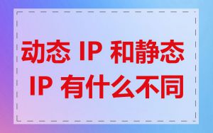 动态 IP 和静态 IP 有什么不同