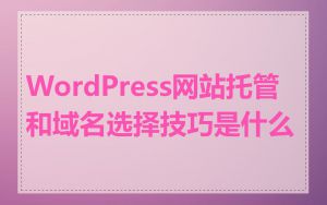 WordPress网站托管和域名选择技巧是什么