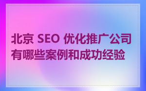 北京 SEO 优化推广公司有哪些案例和成功经验