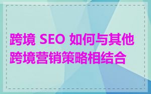 跨境 SEO 如何与其他跨境营销策略相结合