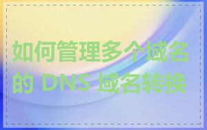 如何管理多个域名的 DNS 域名转换