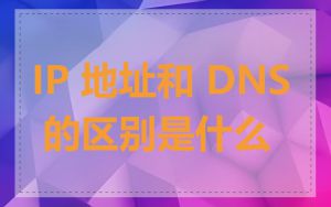 IP 地址和 DNS 的区别是什么