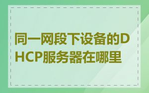 同一网段下设备的DHCP服务器在哪里