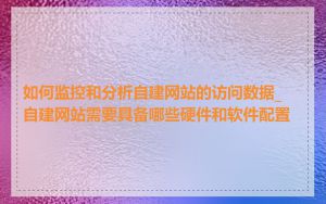 如何监控和分析自建网站的访问数据_自建网站需要具备哪些硬件和软件配置