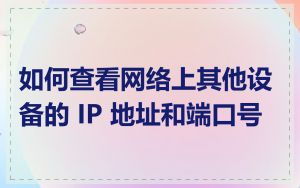 如何查看网络上其他设备的 IP 地址和端口号