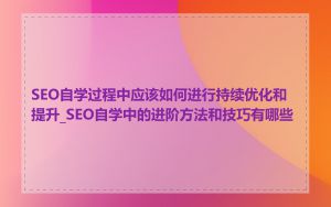 SEO自学过程中应该如何进行持续优化和提升_SEO自学中的进阶方法和技巧有哪些