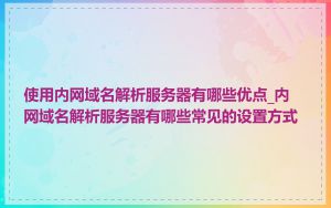 使用内网域名解析服务器有哪些优点_内网域名解析服务器有哪些常见的设置方式