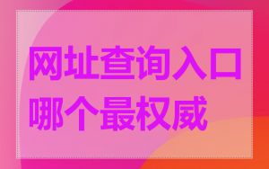 网址查询入口哪个最权威