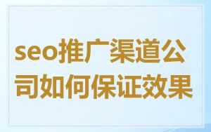 seo推广渠道公司如何保证效果