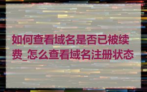 如何查看域名是否已被续费_怎么查看域名注册状态