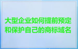 大型企业如何提前预定和保护自己的商标域名