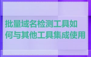 批量域名检测工具如何与其他工具集成使用