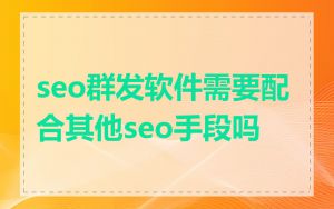 seo群发软件需要配合其他seo手段吗