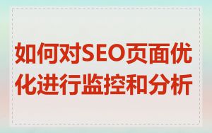 如何对SEO页面优化进行监控和分析